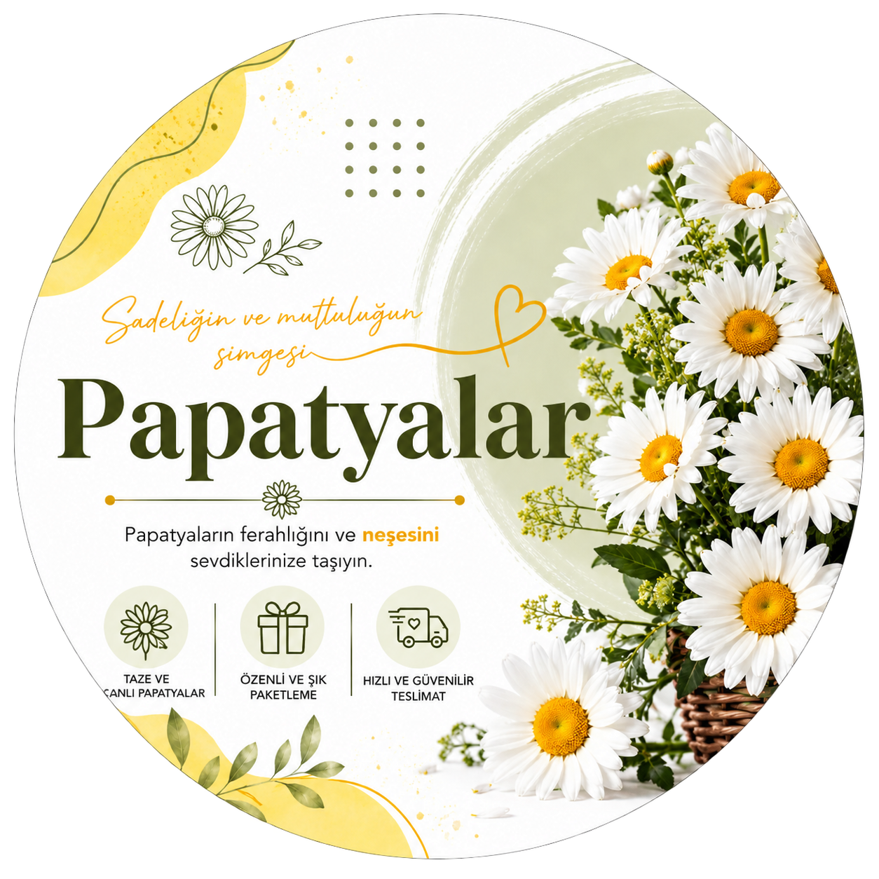 Papatya